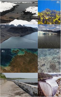 Reevaluating the Role of Organic Matter Sources for Coastal Eutrophication, Oligotrophication, and Ecosystem Health